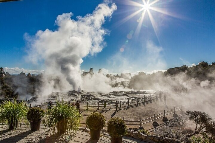 Waitomo Glow Worm Caves & Te Puia - Rotorua's Geothermal Valley - Photo 1 of 25